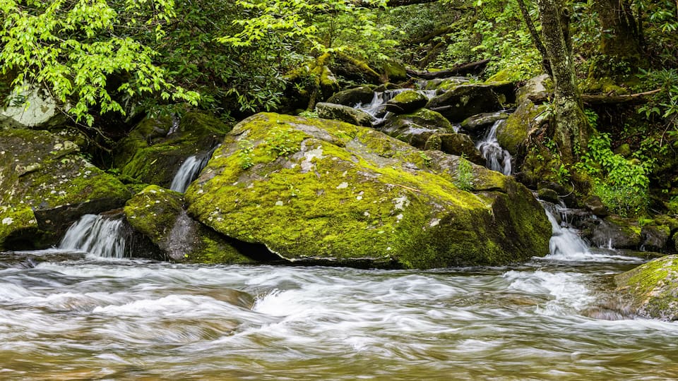 A stream flowing over moss-covered rocks in a forested area.