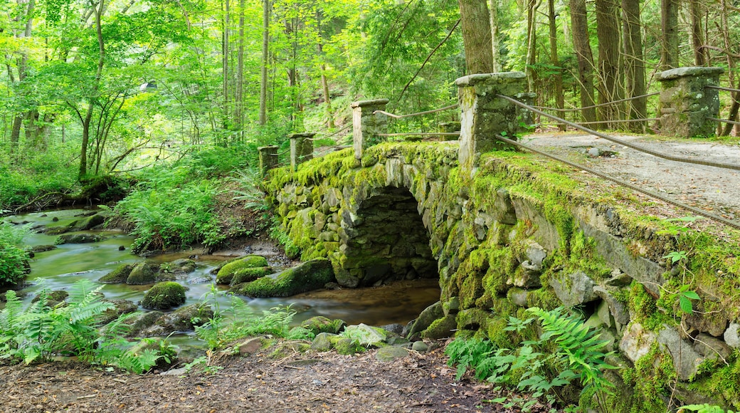 Moss Covered Antique Stone Bridge Near the Little River, The Great Smokies Mountains National Park
