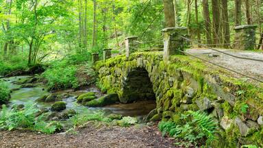 Moss Covered Antique Stone Bridge Near the Little River, The Great Smokies Mountains National Park