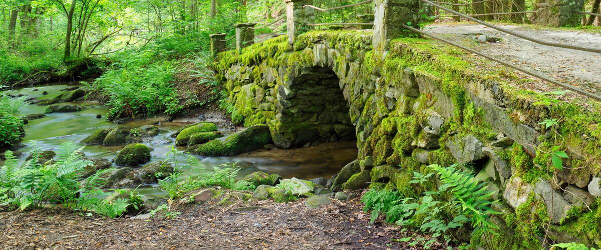 A moss-covered stone bridge over a stream in a dense forest.