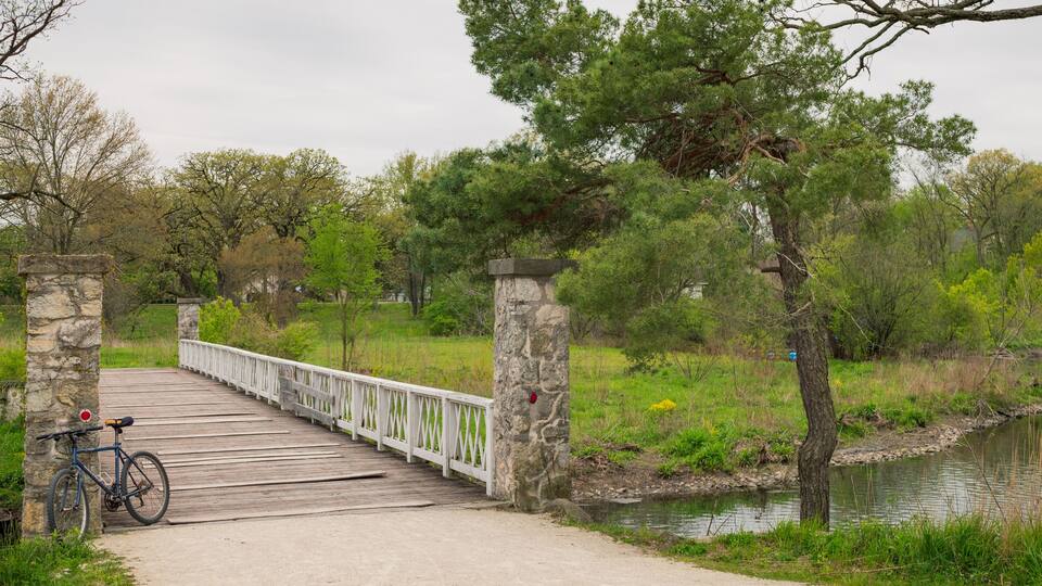A wooden boardwalk over a river, surrounded by trees and greenery.