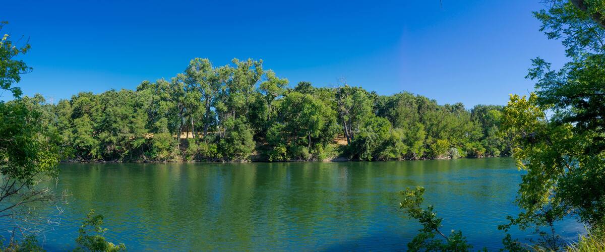 A lake surrounded by dense green trees and clear blue sky.