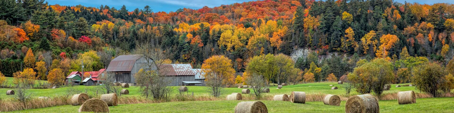 A beautiful autumn scene of hay bales covering a farm field in autumn near Chelsea, Quebec, Canada