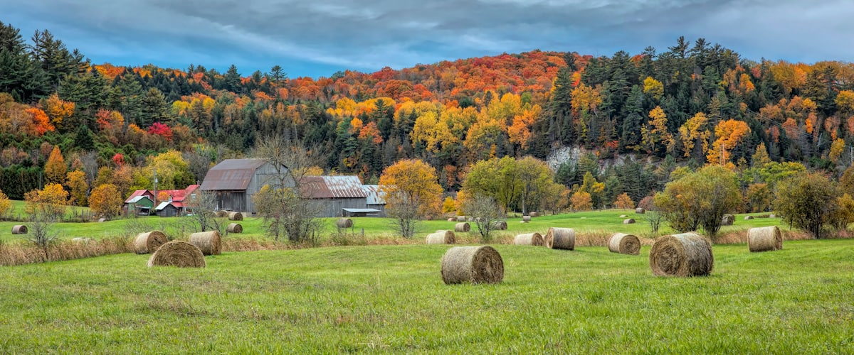A rural landscape with hay bales, a barn, and autumn-colored trees.