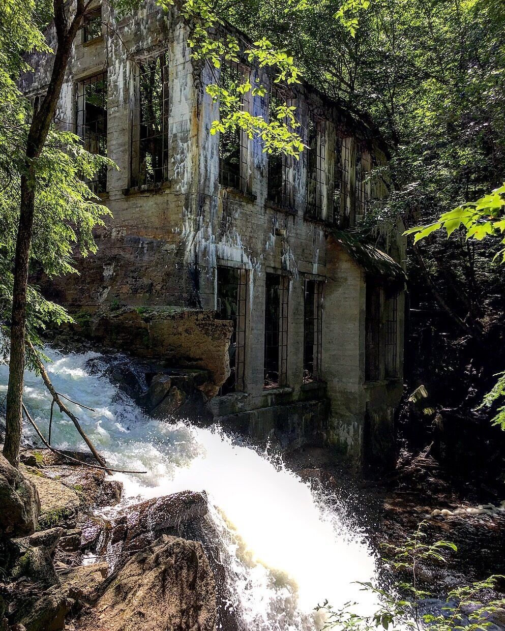 Hiking and a swim at Gatineau Park and Meech Lake :)