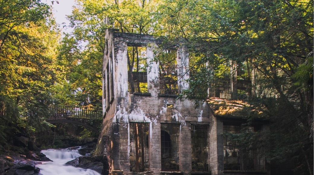 Classic shot of the carbide wilson ruins in the Gatineau park.
#BvSWater