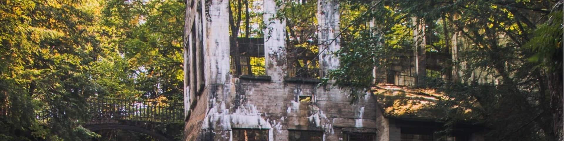 Classic shot of the carbide wilson ruins in the Gatineau park.
#BvSWater
