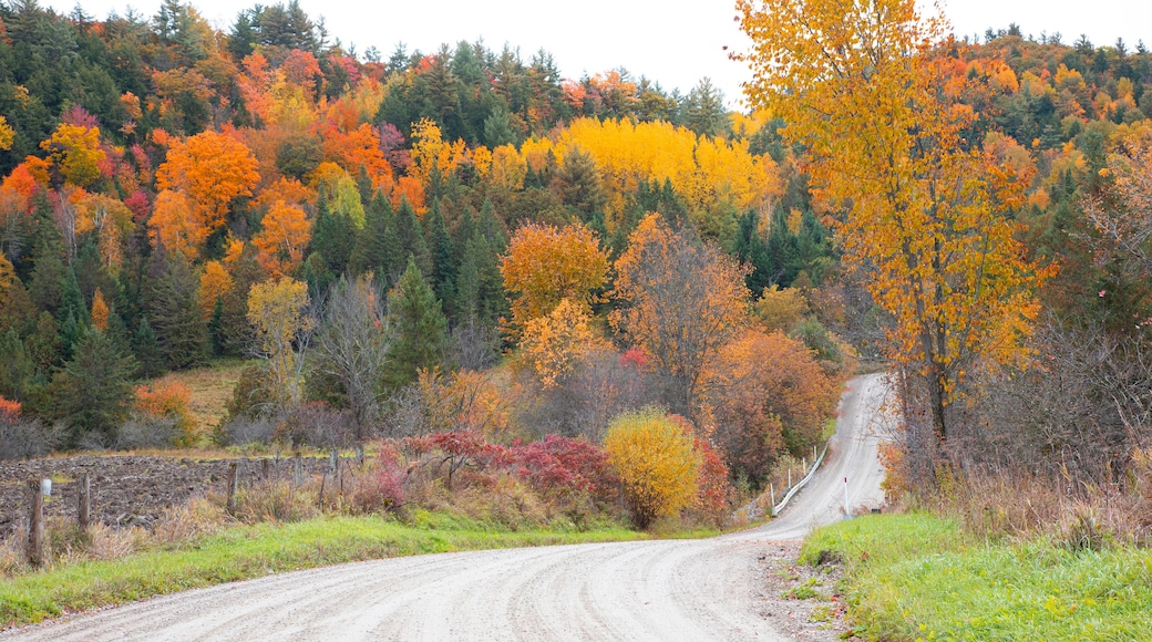 Driving along an autumn country road, Chelsea, Quebec, Canada