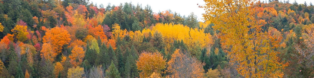 Driving along an autumn country road, Chelsea, Quebec, Canada