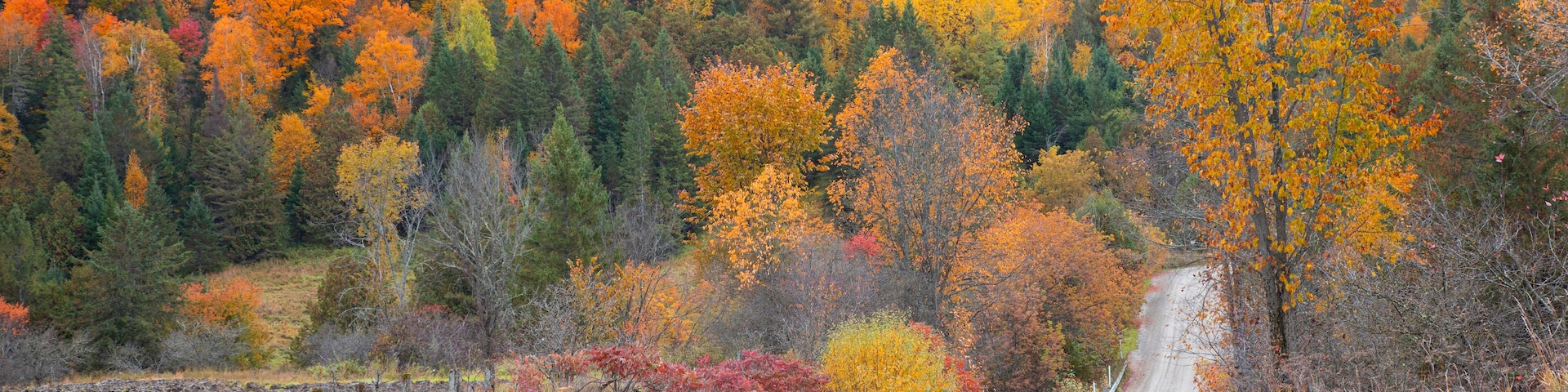 Driving along an autumn country road, Chelsea, Quebec, Canada
