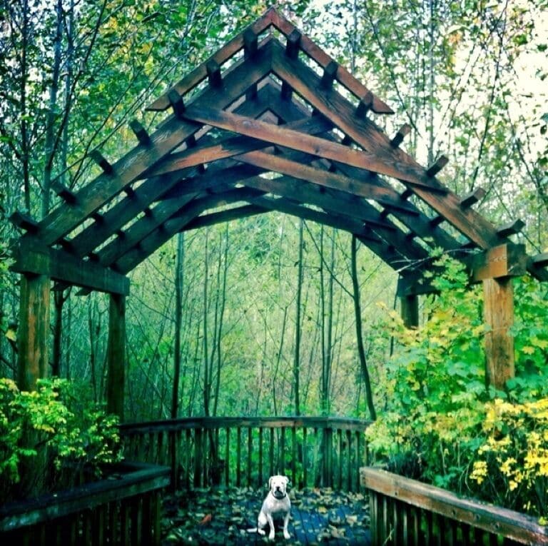 Lovely little trail to take you into the Mill Creek Town Center.