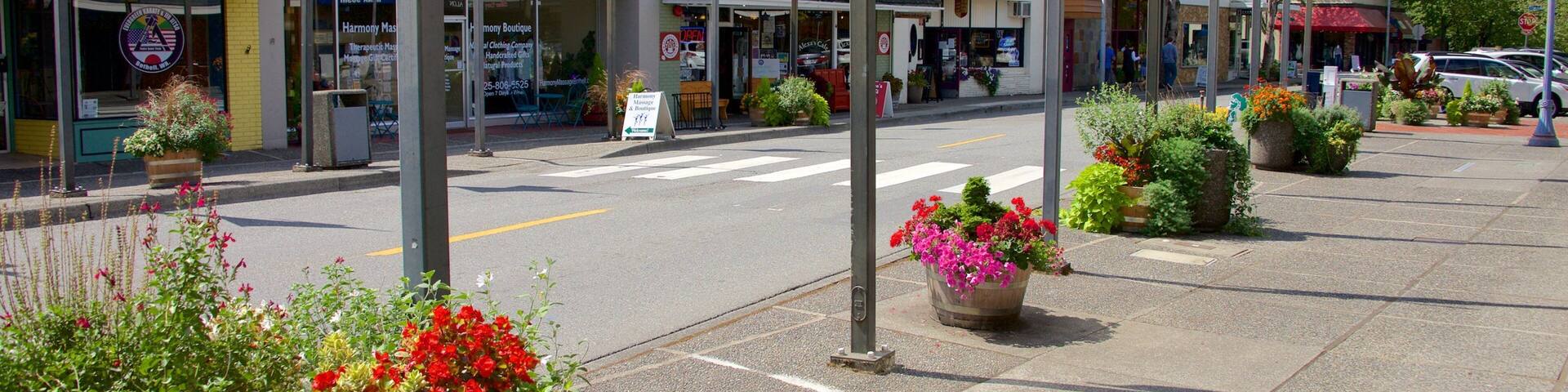Bothell showing street scenes