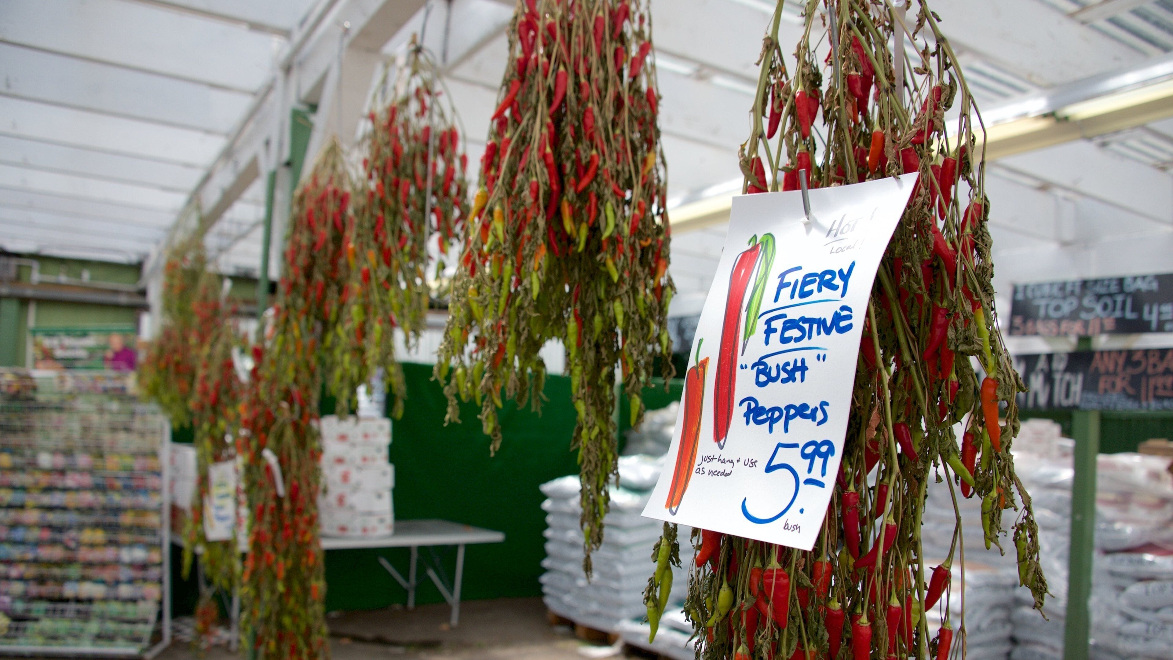 Bothell showing food and signage