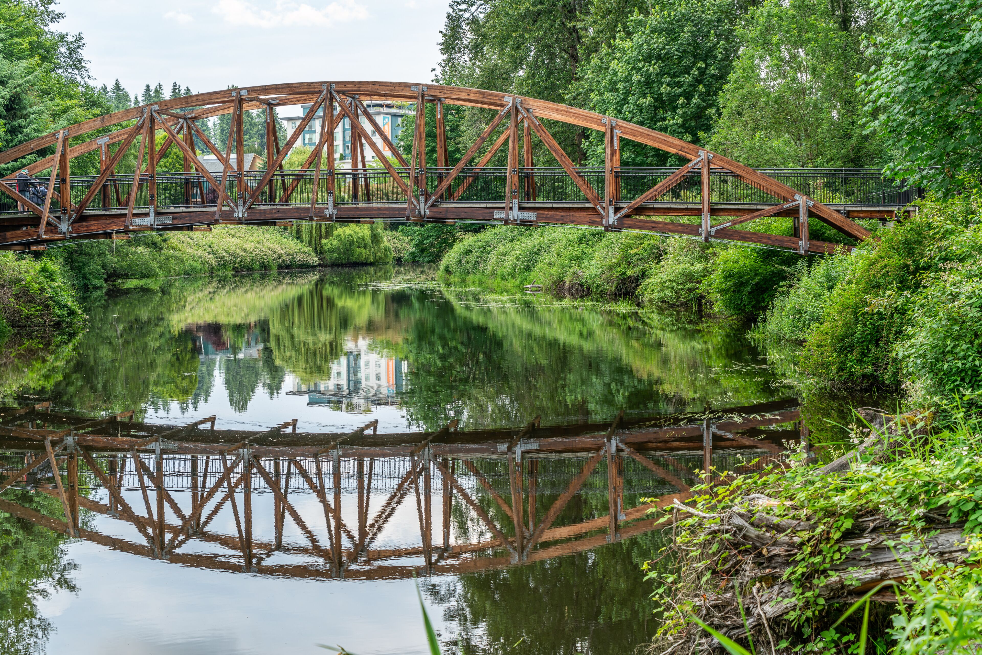 A wooden bridge over a calm river, surrounded by lush greenery and trees.