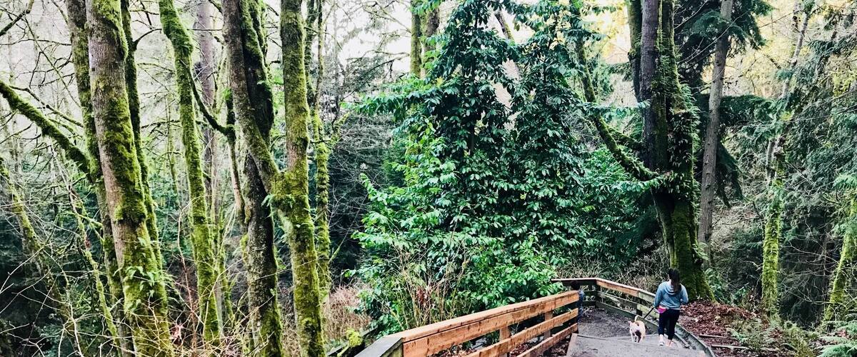 First hike of 2018!
#LifeAtExpedia #Hiking #Beach #Adventure