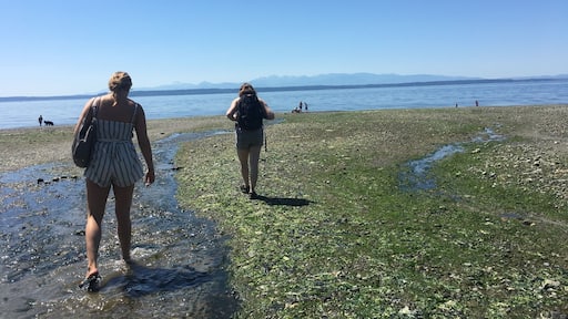 Very beautiful hike onto this beach with amazing views! Pretty uphill on the way back to the car!