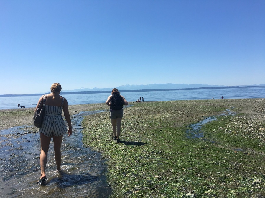 Very beautiful hike onto this beach with amazing views! Pretty uphill on the way back to the car!