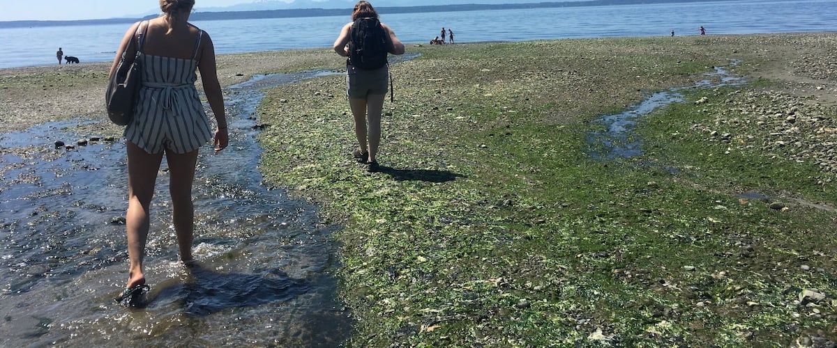 Very beautiful hike onto this beach with amazing views! Pretty uphill on the way back to the car!