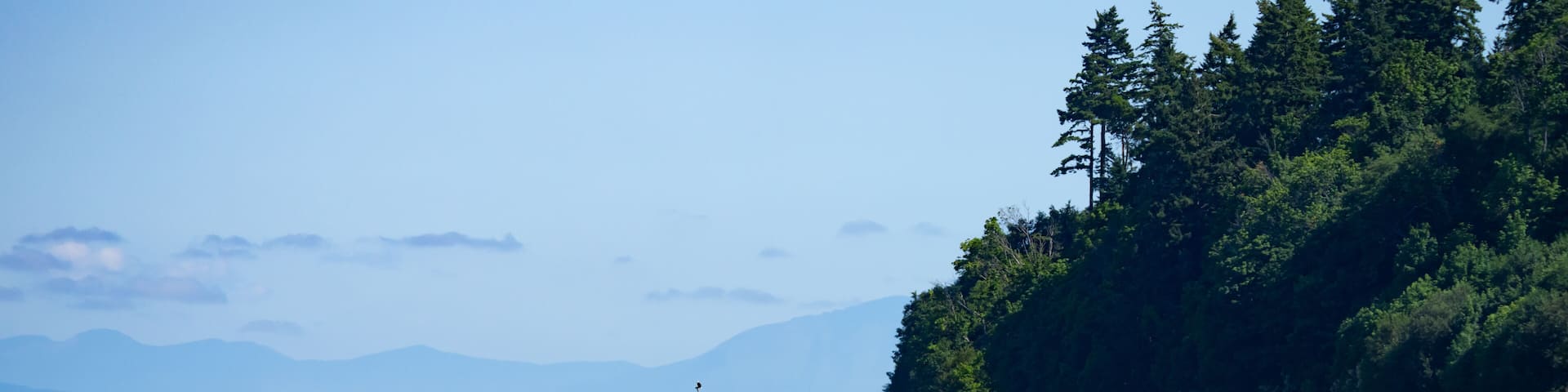Shipwrecks North Of Picnic Point on Puget Sound