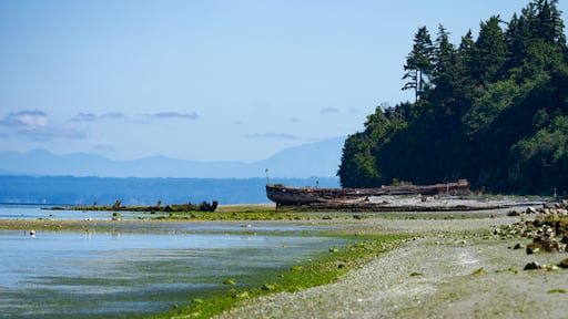 Shipwrecks North Of Picnic Point on Puget Sound