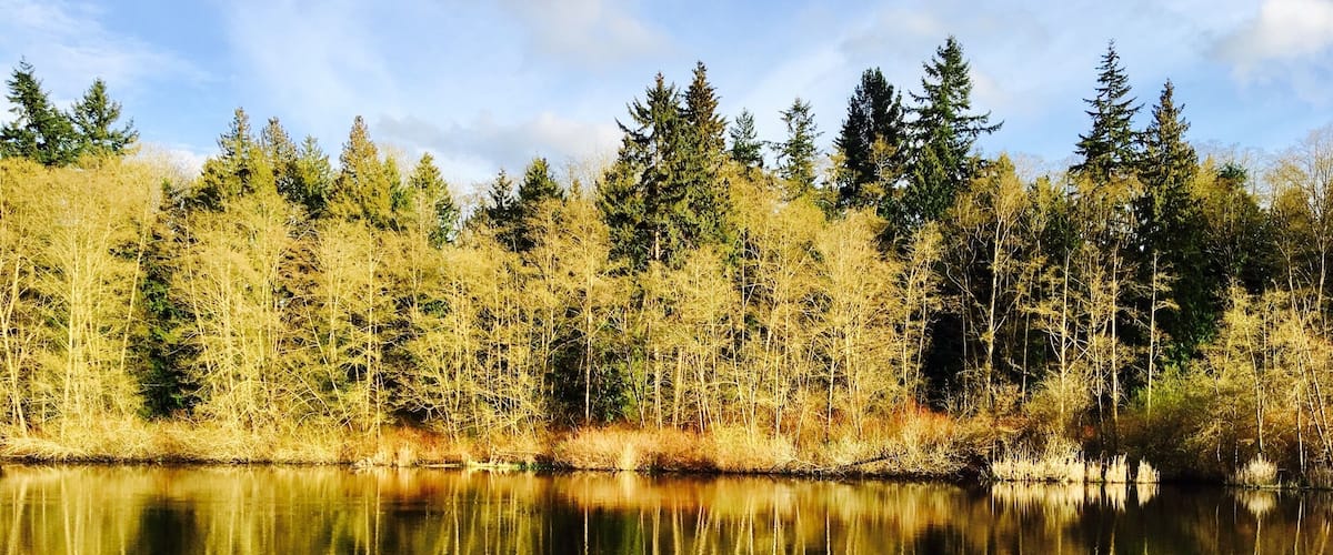 Finally, no more rain in Lynnwood. It's a nice short trail around the Scriber lake. This is a really nice park just still muddy in some spots of the trail from a heavy rain but we enjoyed this beautiful view :)
