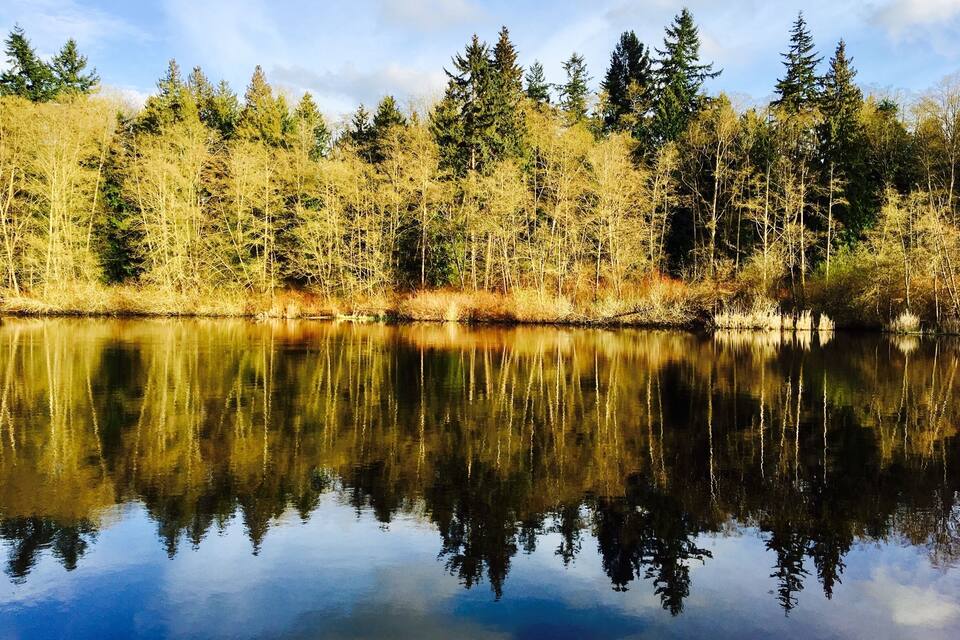 Un lago tranquillo con i riflessi degli alberi e un cielo sereno.