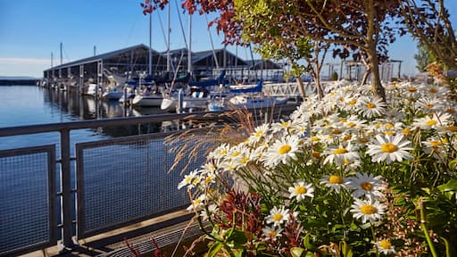 Evening sun on the marina and flowers along the Port of Edmonds waterfront, Washington