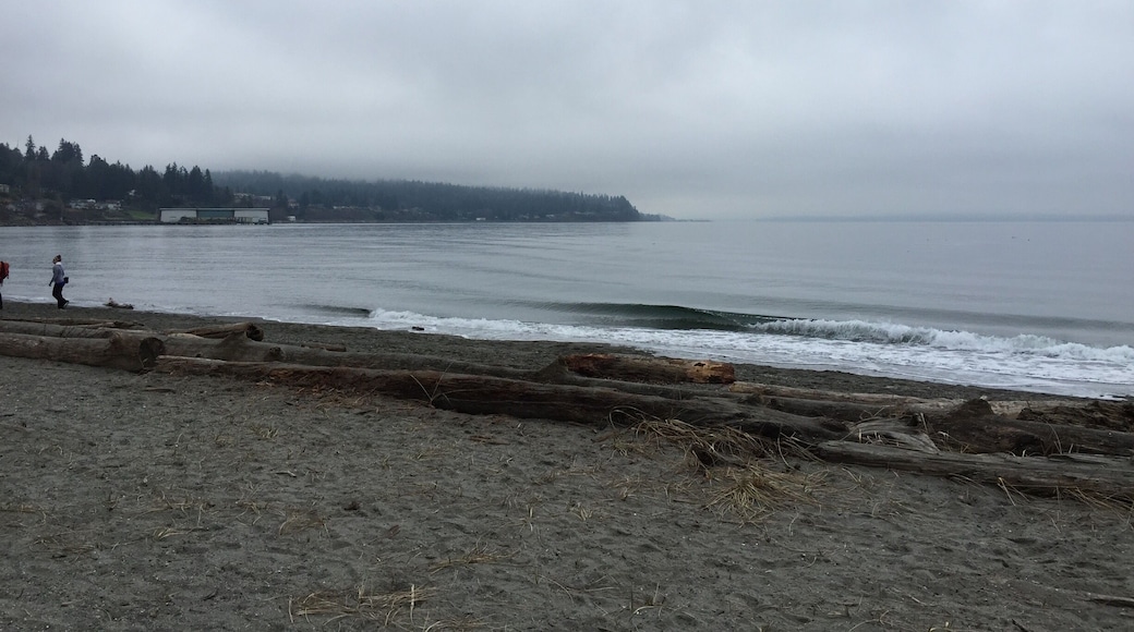 A great loop around trail about 3 miles which is very mellow and wide trail. Ends at the shore. Great place to take dog and run around.