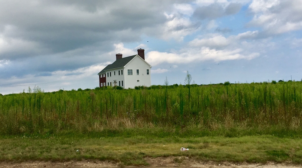 As we was driving pass by I saw a such beautiful view, the land seemed ageless and spacious, unfortunately there was no stopping point along the way that let us pull over the car to walk around.