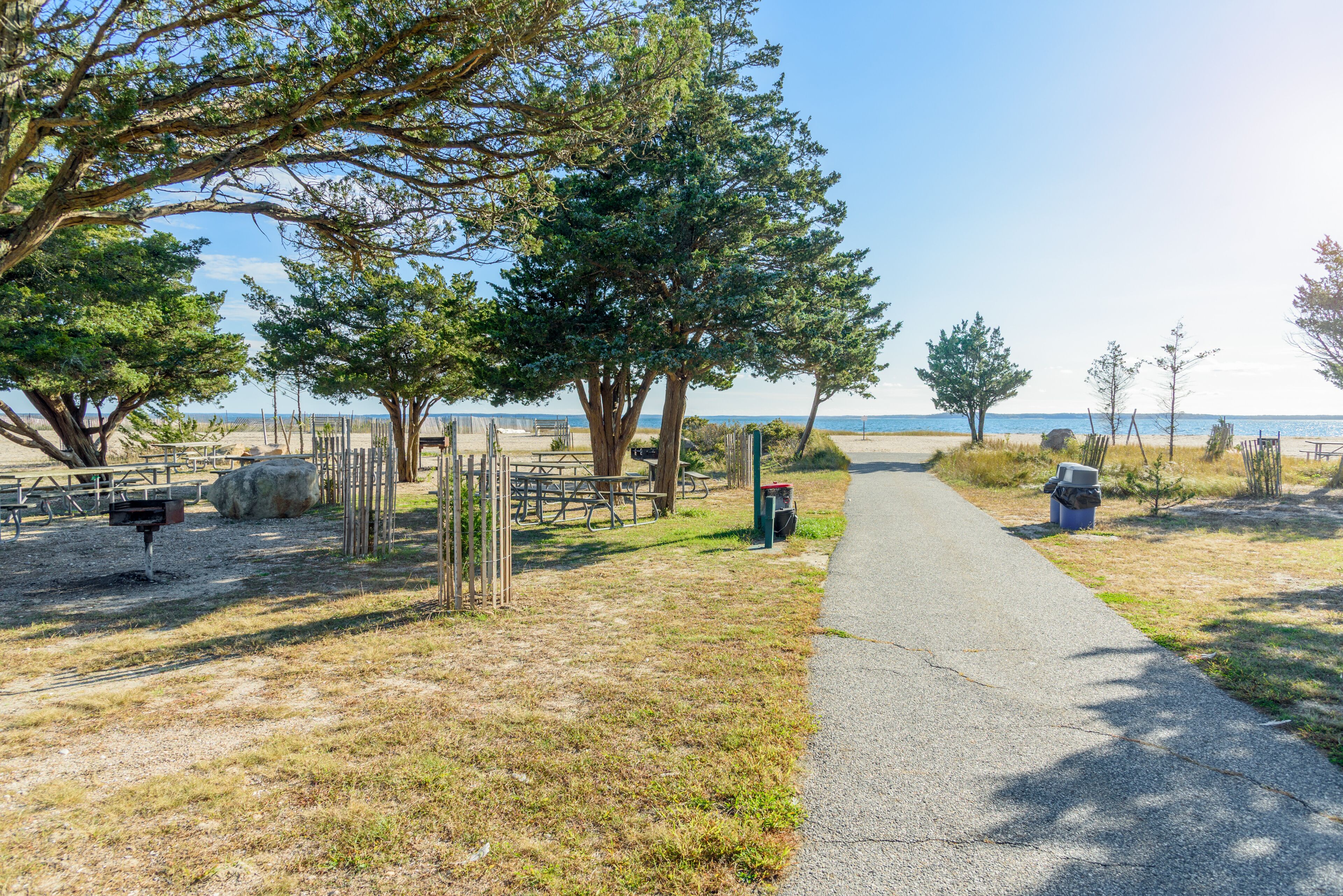 Deserted recreation area with picnic tables and barbeque grills among trees along a sandy beach on a sunny autumn day. Lens flare.