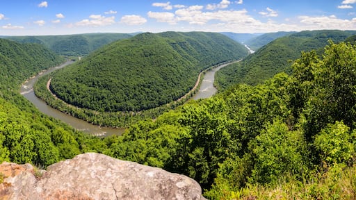 Barboursville