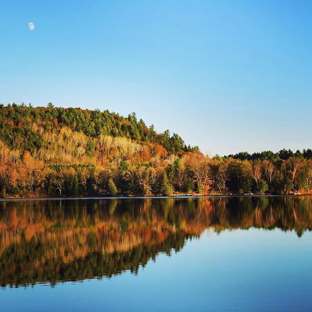 My favourite small town, at my favourite time of year.  Here's you'll find lots of quaint shops, outdoor activities, a waterfall, and the best fudge I have ever had at the Confiserie Wakefield!
