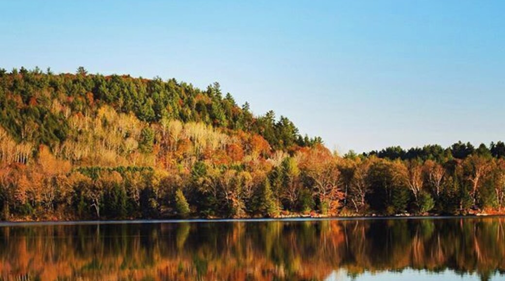 My favourite small town, at my favourite time of year. Here's you'll find lots of quaint shops, outdoor activities, a waterfall, and the best fudge I have ever had at the Confiserie Wakefield!