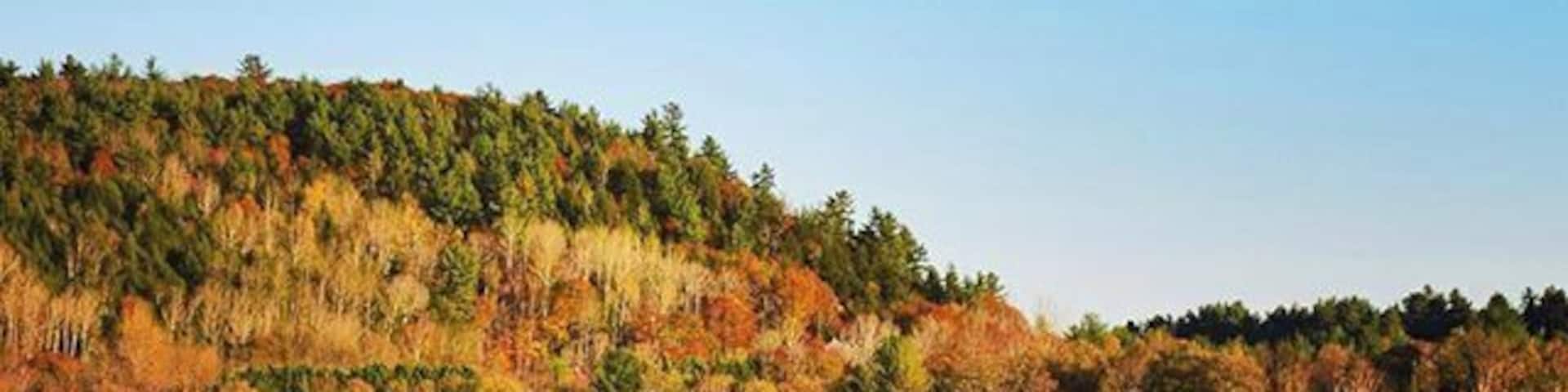 My favourite small town, at my favourite time of year. Here's you'll find lots of quaint shops, outdoor activities, a waterfall, and the best fudge I have ever had at the Confiserie Wakefield!