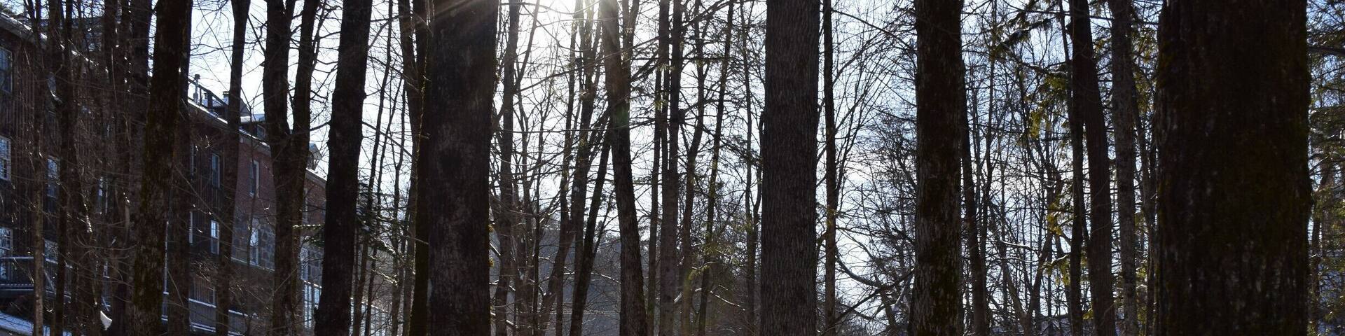 The long shadows of the winter solstice at the beautiful Wakefield Inn near the Gatineau Park in Quebec., Canada. #snow