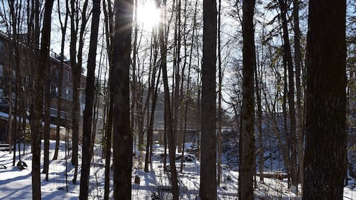 The long shadows of the winter solstice at the beautiful Wakefield Inn near the Gatineau Park in Quebec., Canada. #snow