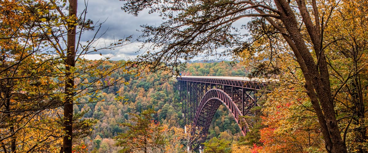 A steel bridge in a forest with autumn foliage.