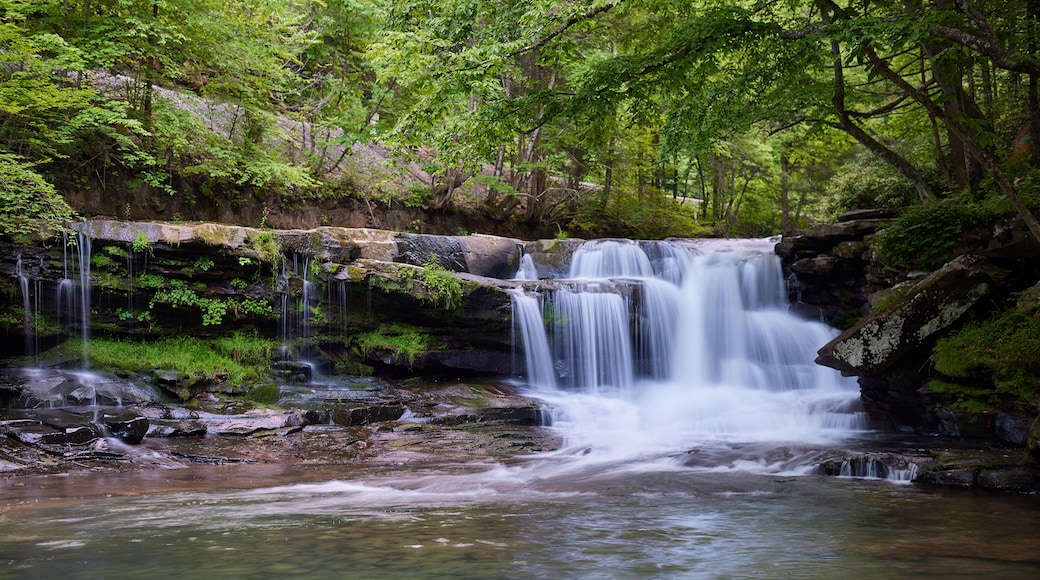 An image of Dunloup Creek Waterfall, Oak Hill, West Virginia