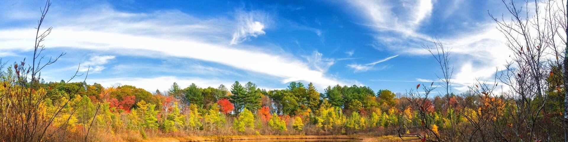 Ward Reservation is a beautiful place to walk and enjoy the nature in the middle of Andover, Massachusetts.
#reflections #parks