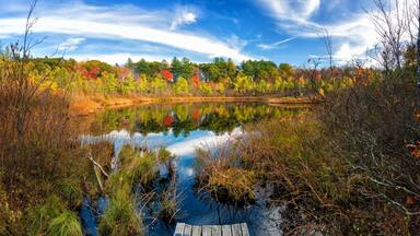 Ward Reservation is a beautiful place to walk and enjoy the nature in the middle of Andover, Massachusetts.
#reflections #parks