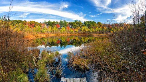 Ward Reservation is a beautiful place to walk and enjoy the nature in the middle of Andover, Massachusetts.
#reflections #parks