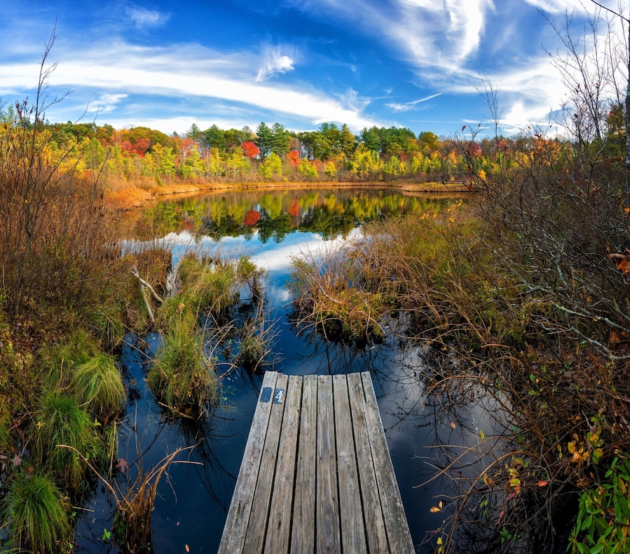 Ward Reservation is a beautiful place to walk and enjoy the nature in the middle of Andover, Massachusetts.
#reflections #parks