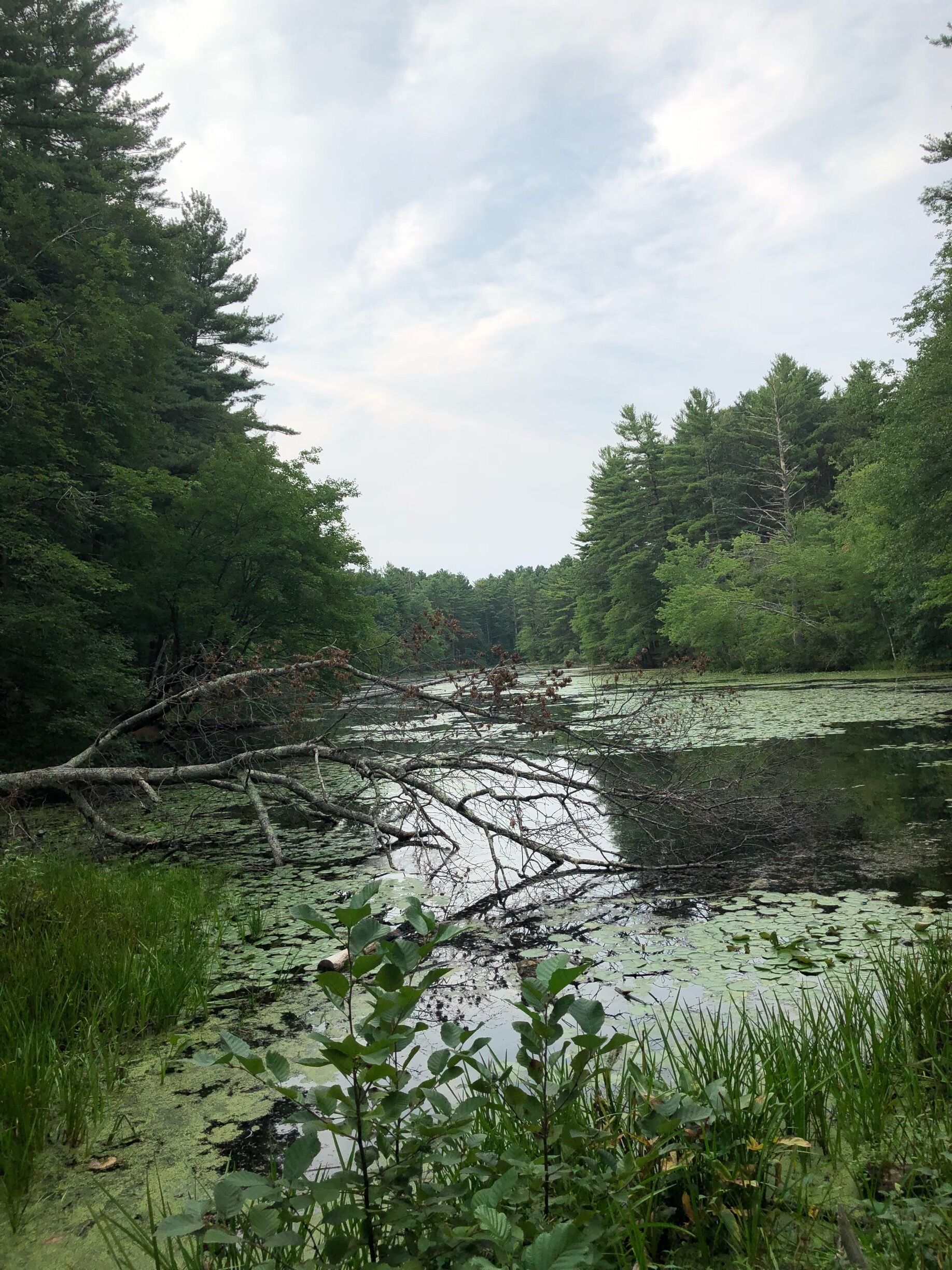 Can you believe within 45 minutes of Boston and out of state it’s still $27!  Best deal I have found in Massachusetts campgrounds