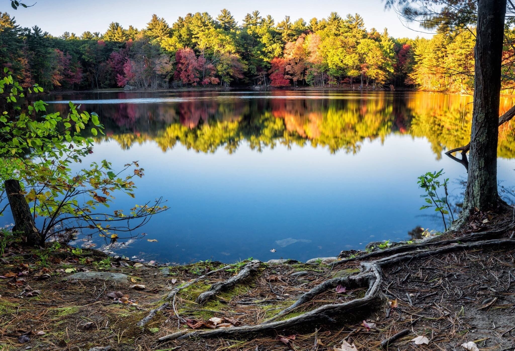 We are in the apex of the autumn here, in Massachusetts. So, why not to take a walk and enjoy the beautiful colors that it has to offer?