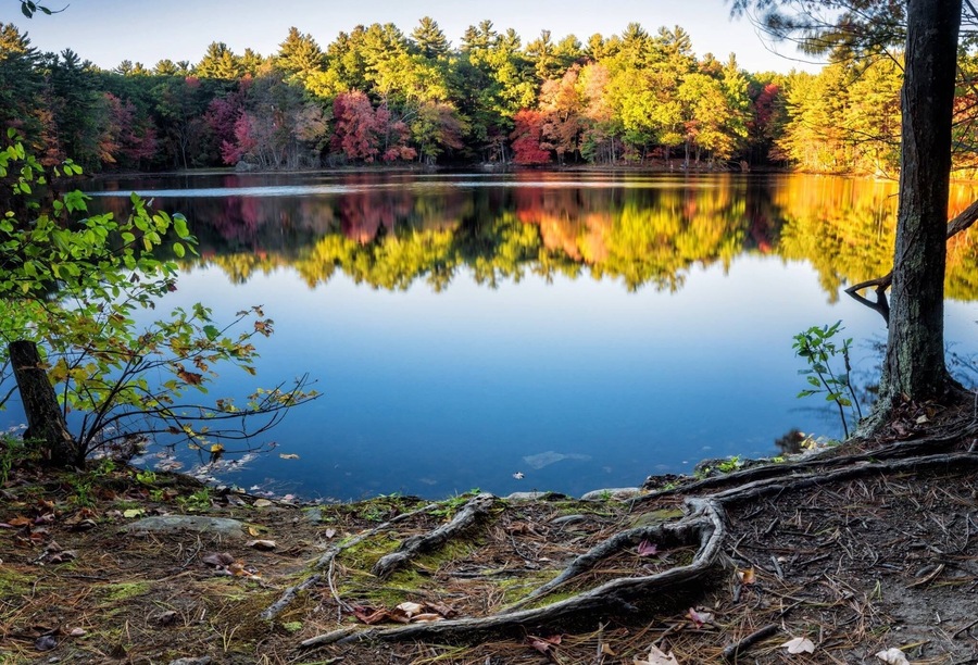 Ein ruhiger See spiegelt buntes Herbstlaub wider, der Himmel ist klar und das Ufer bewaldet.