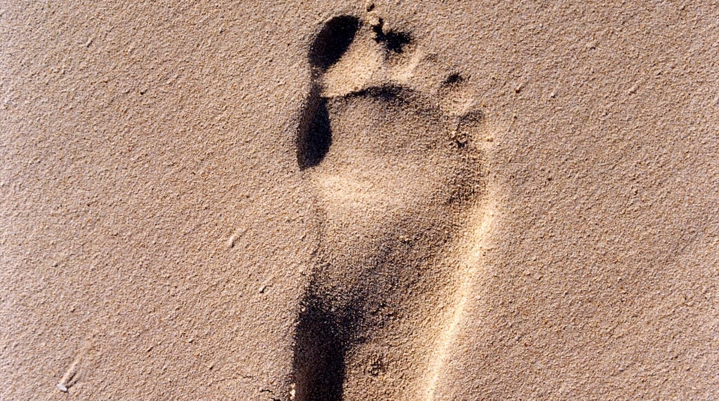 Anguilla showing a beach