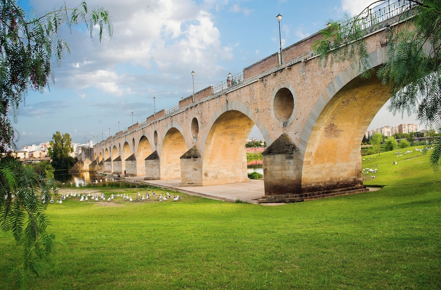 Palms bridge, Badajoz, Extremadura, Spain