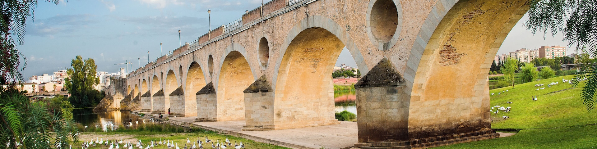 Palms bridge, Badajoz, Extremadura, Spain