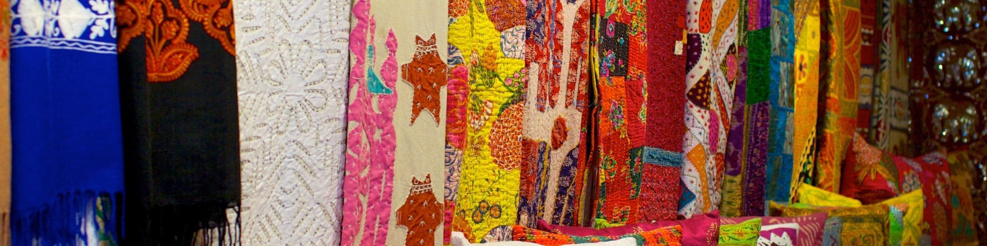 Delhi showing shopping, interior views and markets