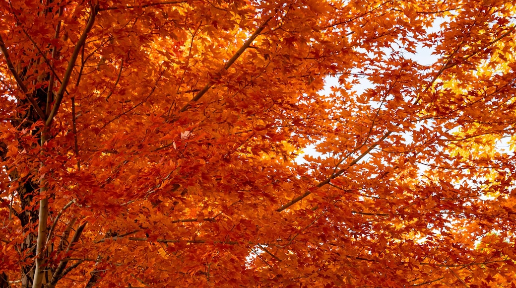 เดนเวอร์เทคเซ็นเตอร์